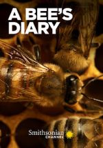 A Bee\'s Diary (TV Special 2022)
