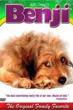 Benji