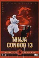 Ninjas Condors 13