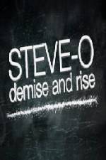 Steve-O Demise and Rise