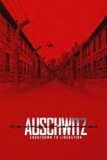 Auschwitz: Countdown to Liberation