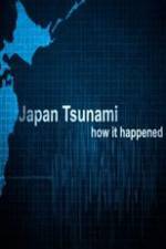 Japan Tsunami: How It Happened