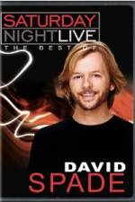 Saturday Night Live The Best of David Spade