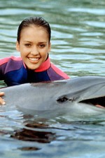 Flipper (The New Adventures of Flipper)