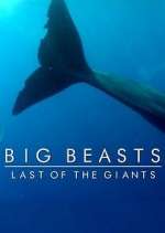 Big Beasts: Last of the Giants
