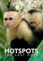 Hotspots: The Last Hope