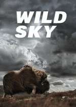 Wild Sky Season 1 Episode 1